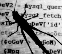 Guilherme Tavares's code bug photo, licensed as CC BY 2.0