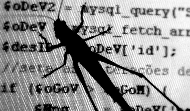 Guilherme Tavares's code bug photo, licensed as CC BY 2.0